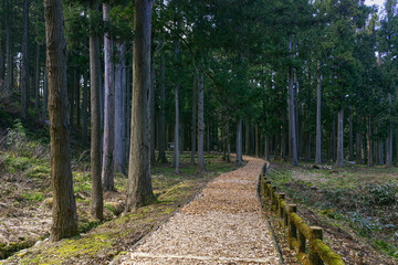 能登 史跡七尾城跡の風景