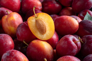 Ripe red plums, fruit background close up
