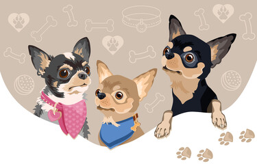 Fototapeta premium Dog breed Chihuahua. Pet head, Dog collar and bandana Vector.