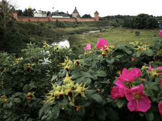 Panoramic view of the Kamenka river and the walls of the monastery in Suzdal, Russia.