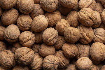 walnuts background. textured background from a variety of nuts. healthy food concept.