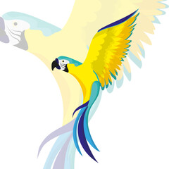 A parrot in flight. A tropical bright bird, the parrot flies with its wings spread. Design element, summer print.