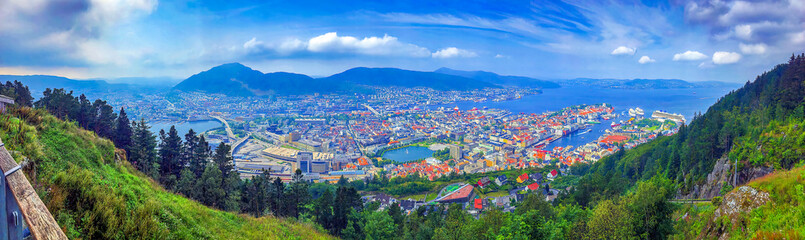 landscape with grass and mountains