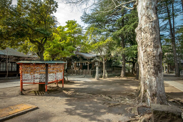 埼玉県川口市の川口神社と境内社の梅ノ木天神社