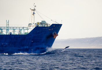 Dolphin jumping in front of a ship in the sea