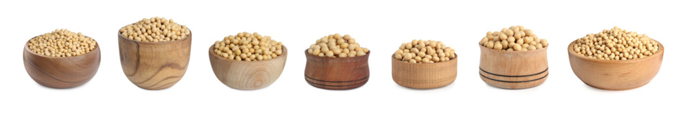 Set with soya beans on white background. Banner design