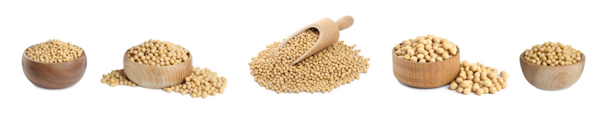 Set with soya beans on white background. Banner design