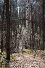 The Russian countryside, Samara region.