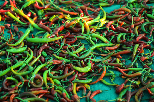 Green chilli peppers in Indian market © PRASANNAPIX
