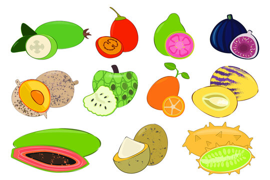 Exotic tropical fruits vector set
