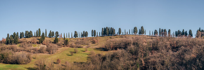 Row of cypresses on the ridge of the hill in Bologna province countryside. Ozzano Emilia, Bologna, Emilia and Romagna, Italy. © GiorgioMorara