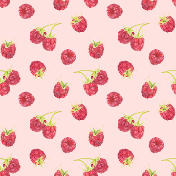 Seamless pattern with watercolor raspberries isolated on pink background.