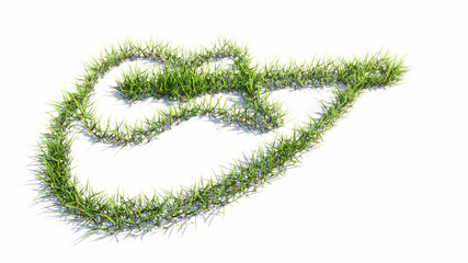 Concept or conceptual green summer lawn grass isolated on white background, sign of guitar. A 3d illustration metaphor for music, concert, accoustic, festival, jazz, rock, lifestyle and entertainment