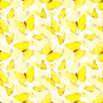 Seamless pattern. Yellow butterflies on a white background. The pattern is suitable for fabric or paper.
