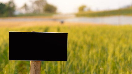 The black label in the barley field is naturally beautiful.