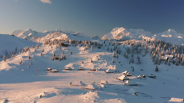 Aerial view of snow covered mountains and spruce forest