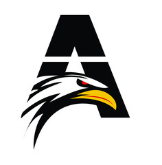 black and white bird