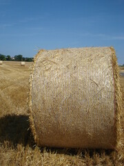 Rundballenpresse, Spätsommer, Landschaft, Bauernhof, Stroh