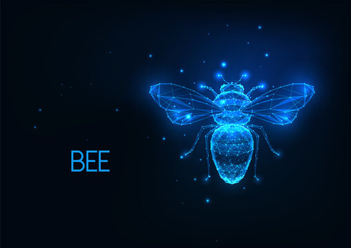 Futuristic glowing low polygonal honey bee isolated on dark blue background