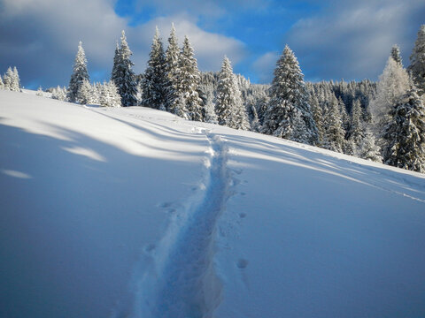 Winter landscape from Bucegi Mountains, Romania