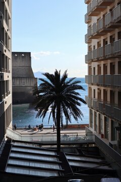Napoli - Palma condominiale sul lungomare
