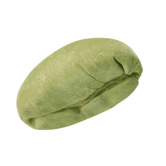 Green coffee bean on white background. 3D illustration