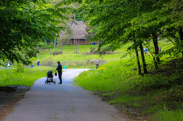 A silhouette of a parent with a baby carriage standing in the park at summer day