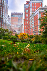 Small park scrounged by skyscrapers 