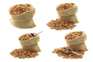 dried watermelon seeds in a burlap bag and some with an aluminum scoop on a white background