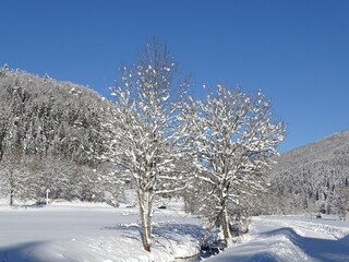 beautiful winter landscape with sun and blue sky