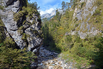 In der Almbachklamm bei Berchtesgaden, Bayern