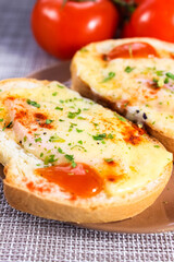 Two delicious sandwiches with melted cheese and herbs on a saucer. A quick snack.