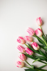 Bouquet of pink tulips isolated on white background. Valentine's Day and Mother's Day background. Top view