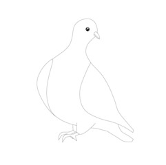Dove sketch design element stock vector illustration for coloring book, anti stress page stock vector illustration for web, for print