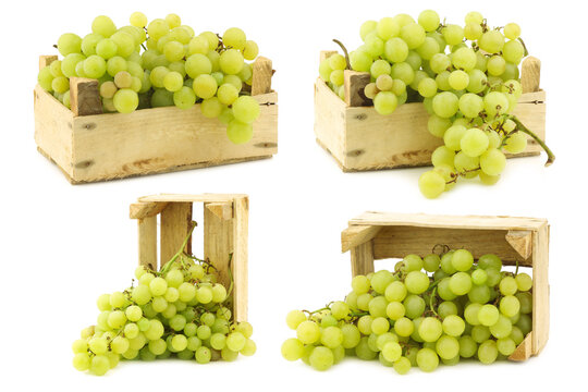 fresh white seedless grapes on the vine in a wooden crate on a white background