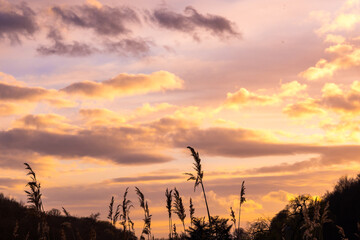 Fototapeta premium Beautiful cloudy shining sky in the morning or in the evening