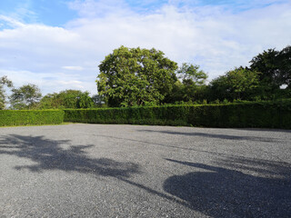 Parking lot sprinkled with gravel on tree bush nature background