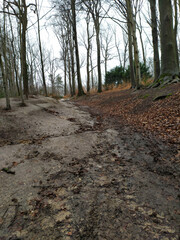 Steep pathway through forest after rain with slippery hiking trail as cliffy trekking trail in natural environment with geological interesting scene in tranquil fall and winter scenery with trees