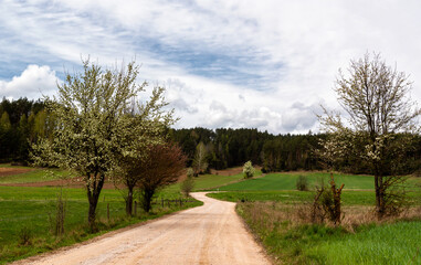 Wiosna na Wzg&oacute;rzach Sok&oacute;lskich, Podlasie, Polska