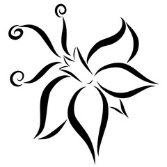 graceful flower with stamens, black pattern on a white background