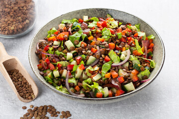 salad with lentils and vegetables in a deep plate on a gray background, vegetarian food