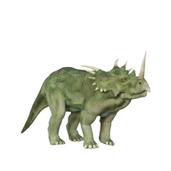 Styracosaurus Dinosaur. 3D illustration isolated on white background.
