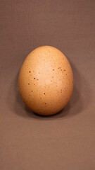 One egg on a brown background.