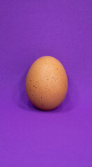 One chicken egg on a purple background. Negative space or copy space for text.