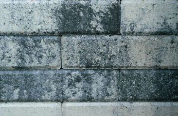 Brick wall for the backdrop. Color - Charade, Hue Blue, Loblolly, Hue Green. Spots and inclusions....