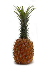 ripe pineapple on a white background wall with shadow
