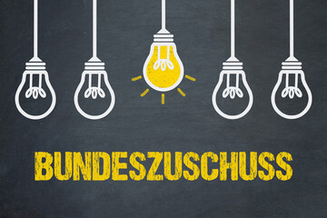 Bundeszuschuss