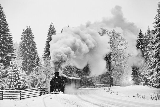 Beautiful Bukovina Steam Train Mocanita