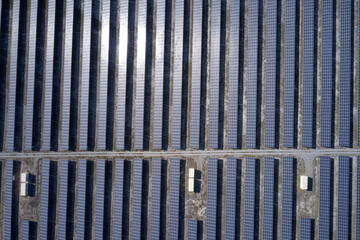 Top view of blue solar panels on a sunny day.