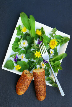 Spring salad with wild herbs on black slate, vertical